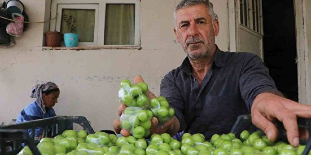 Hatay’daki üretimin ürünleri sınırları aşıyor: Kilosu 500 TL’den tüm dünya yiyor 6